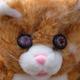 Image for article titled If You Can't Buy It, Build It: Wanky The Safety Cat